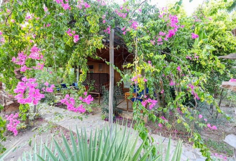 بنسيون Bizim Cennet Otel Bungalow