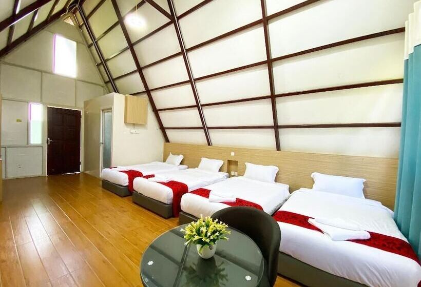 بنسيون Dreamland Beach Holiday