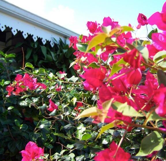 פנסיון Relais Fenua