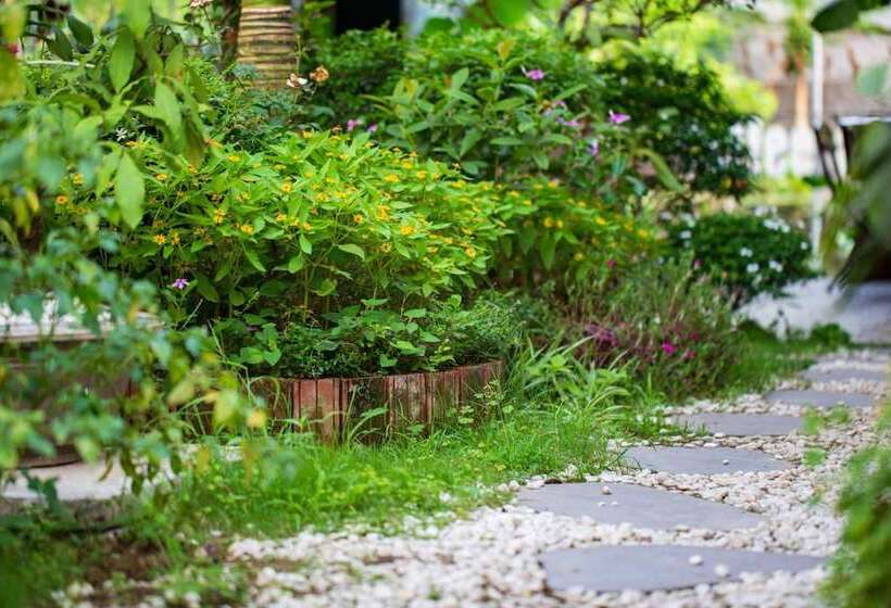 پانسیون Sparrow's Song Homestay