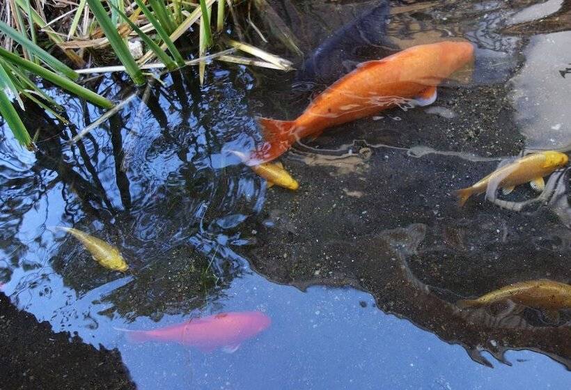 ריוקאן Hinokitei Bokusui