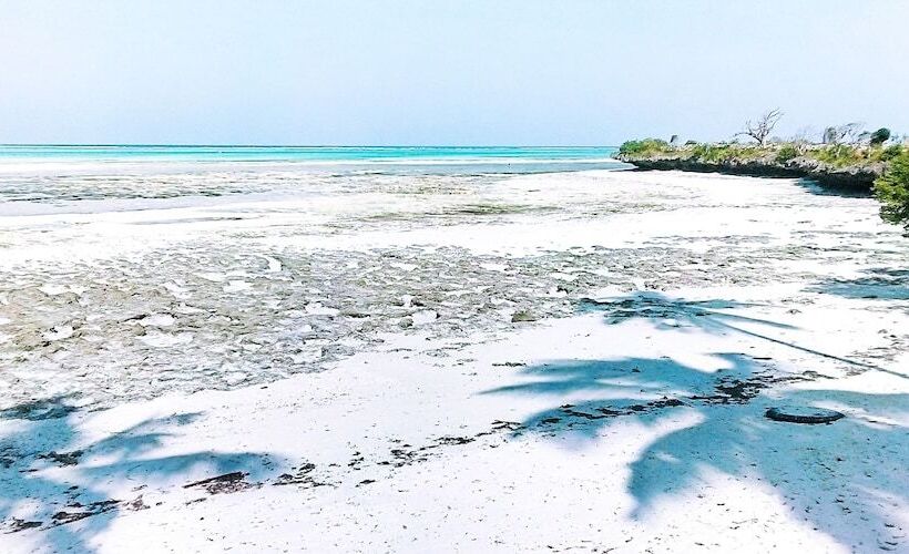 The Star Hotel & Sports Bar Zanzibar