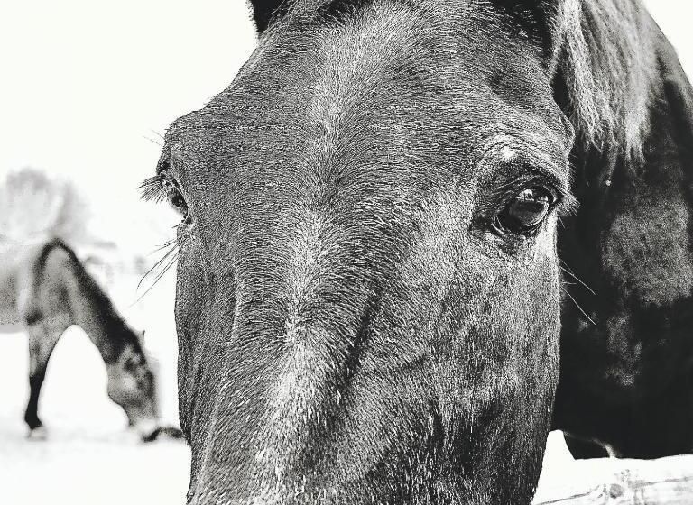 Casa Gracia Málaga Corazón De Andalucía