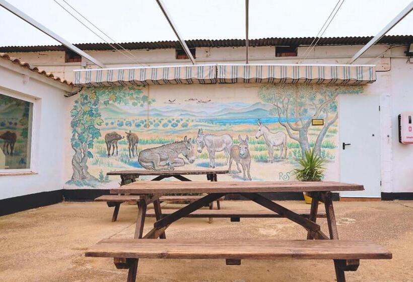 Casa Gracia Málaga Corazón De Andalucía