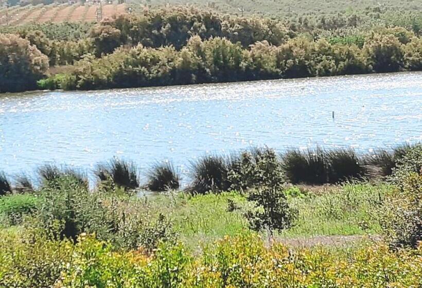 Casa Gracia Málaga Corazón De Andalucía