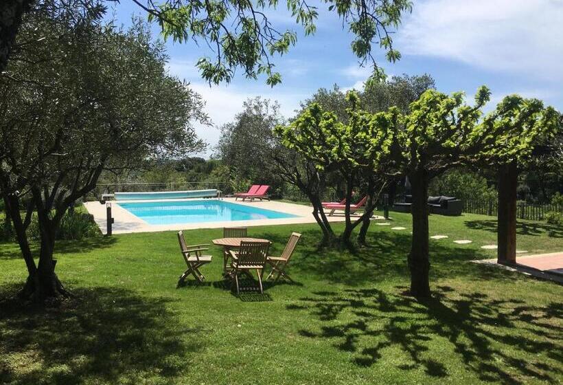 La Maison Des Olivettes