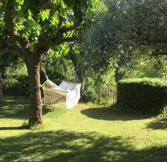 La Maison Des Olivettes