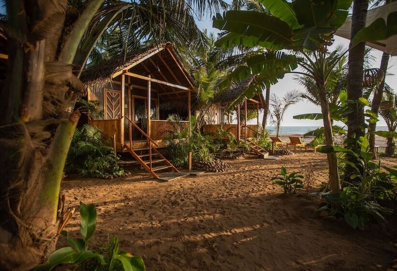بنسيون Goa Cottages Agonda