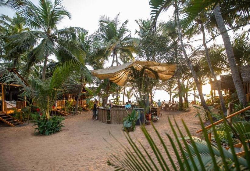 بنسيون Goa Cottages Agonda