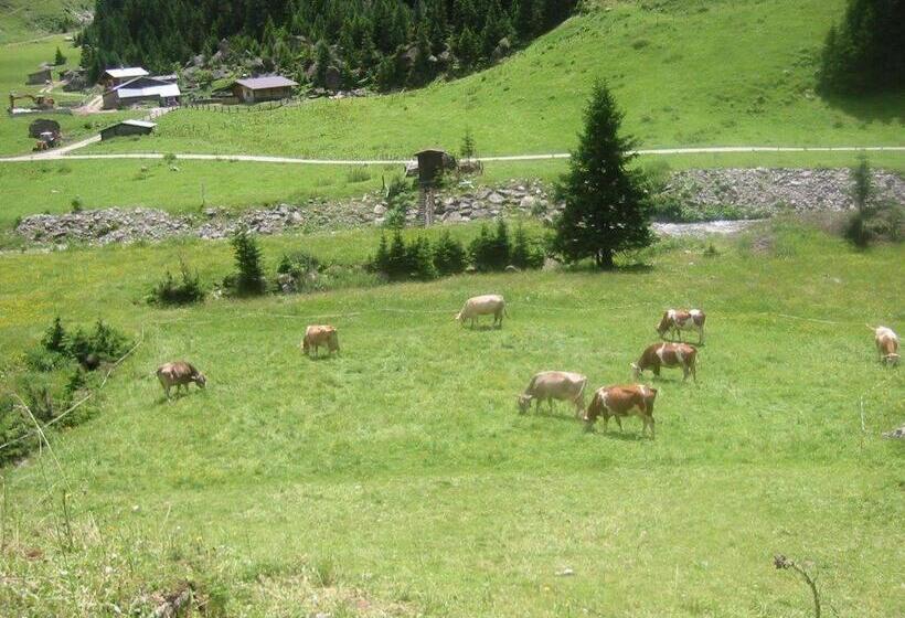 Apart Alpensonne Zillertal