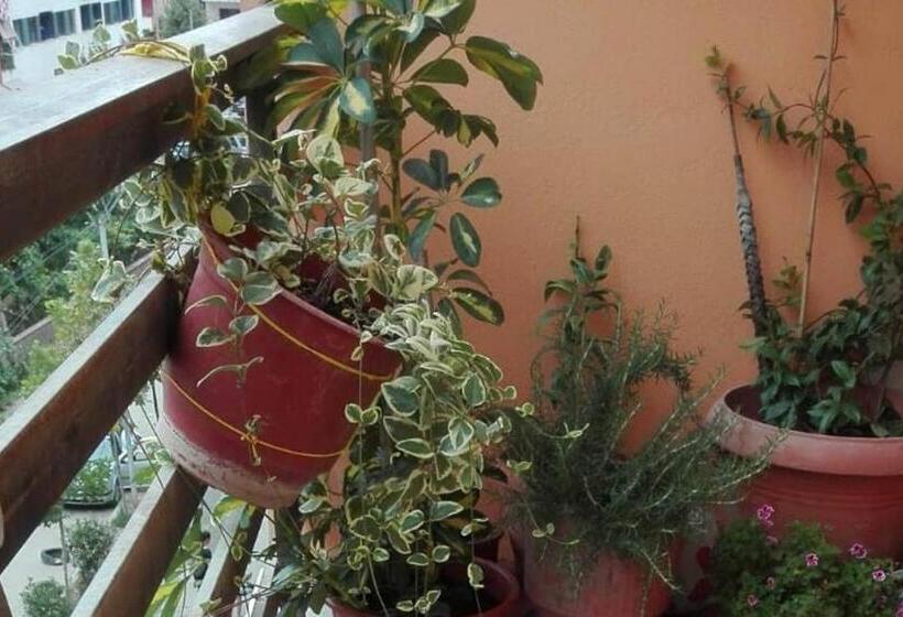 住宿加早餐 Home Sweet Home Guest House