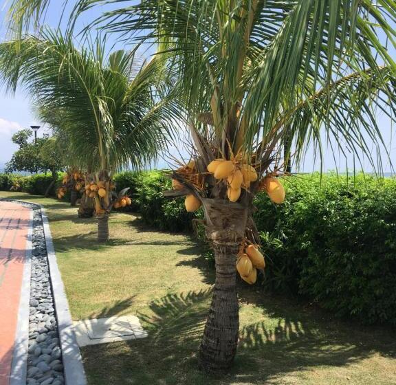 Dreamlike Arterra Hotel Apartment Cebu Seaside 14 Floor