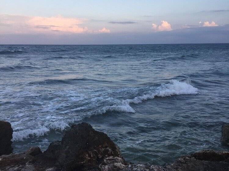 Dreamlike Arterra Hotel Apartment Cebu Seaside 14 Floor