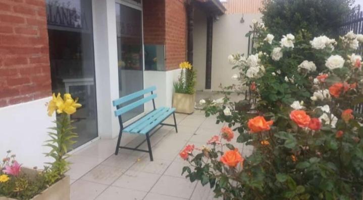 ホテル Avellaneda Suites