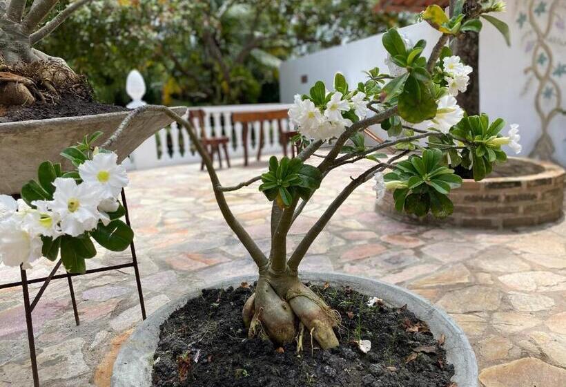 بنسيون Aqualuna Pousada