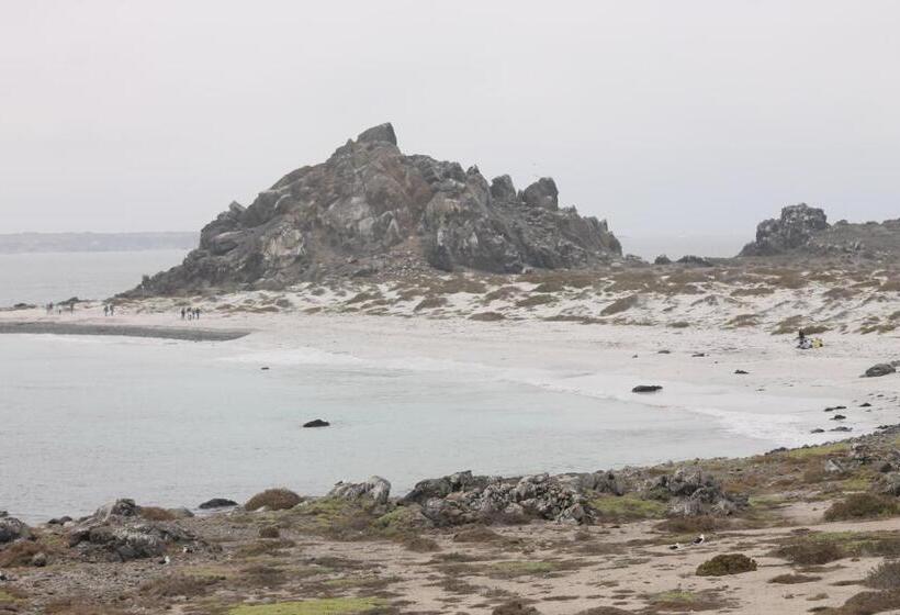 פנסיון Cabaña Albergo Punta De Choros