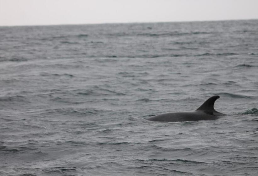 פנסיון Cabaña Albergo Punta De Choros