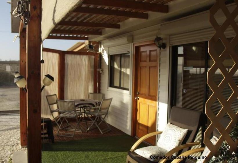 פנסיון Cabaña Albergo Punta De Choros