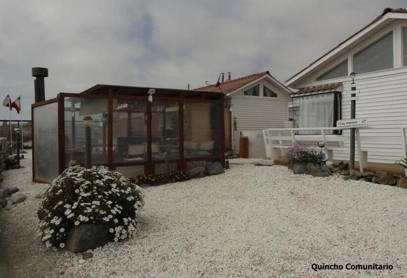 פנסיון Cabaña Albergo Punta De Choros