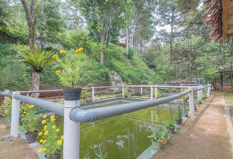 ペンション Reddoorz Resort Syariah Near D Castello Ciater Subang