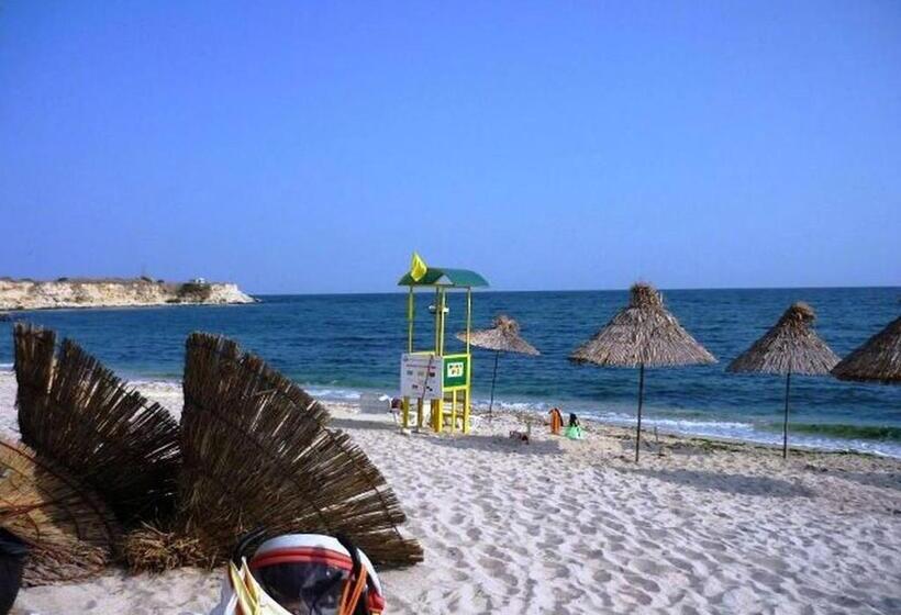 펜션 Sineva Guest House