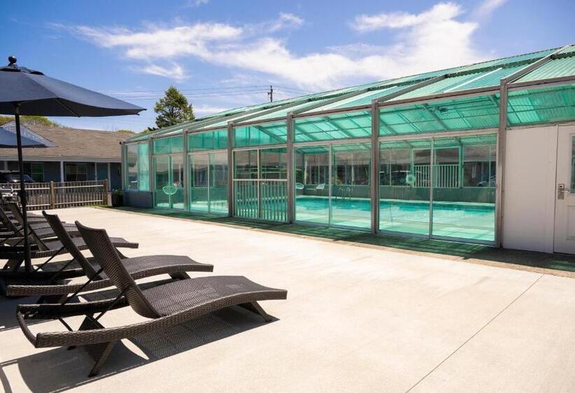 Endless Dunes, A Modern Motel