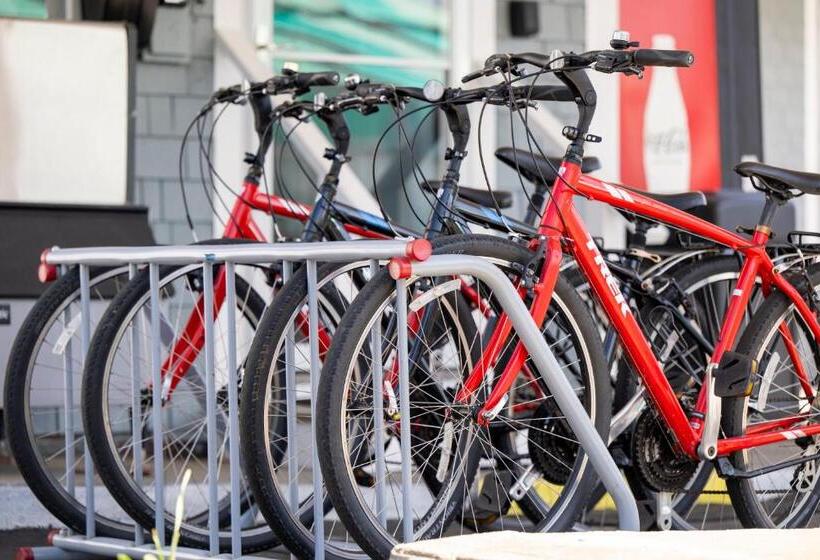 Endless Dunes, A Modern Motel