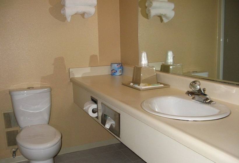 فندق Bellingham Lodge