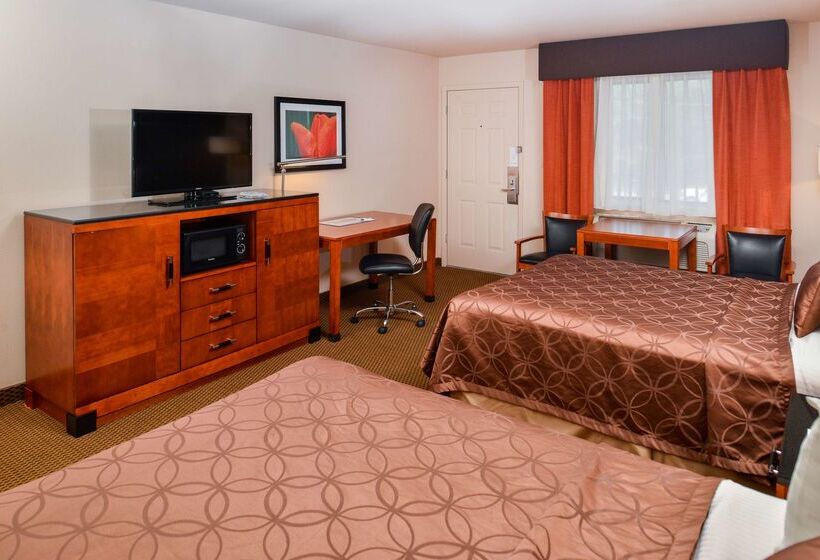 فندق Best Western Executive Inn