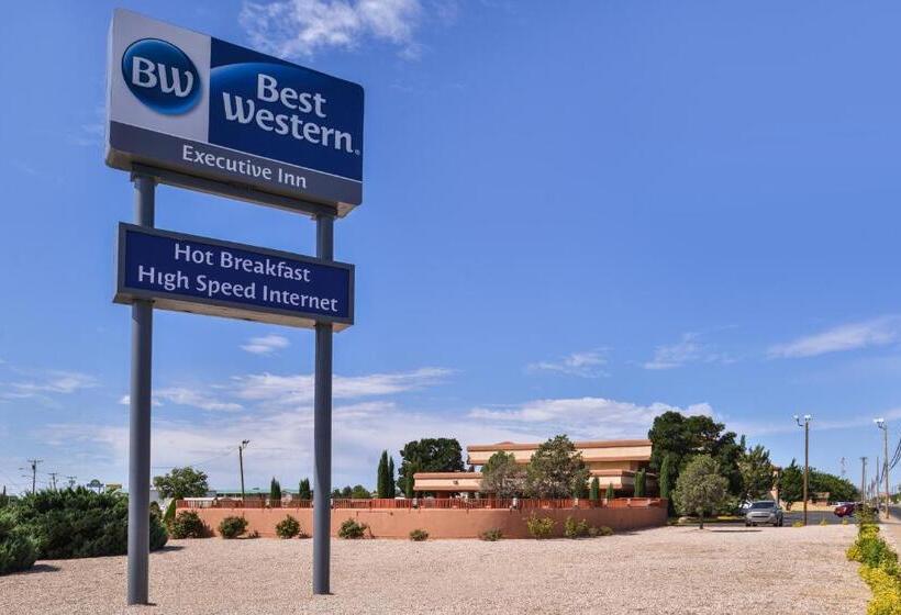 فندق Best Western Executive Inn