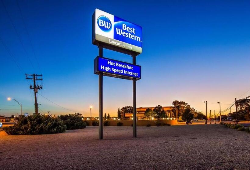 فندق Best Western Executive Inn