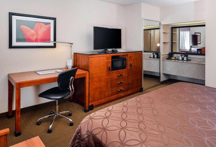 فندق Best Western Executive Inn