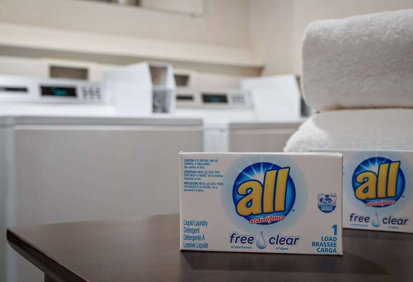 酒店 Best Western Plus City Center