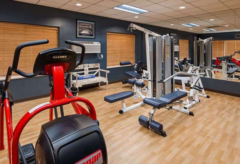 酒店 Best Western Plus City Center