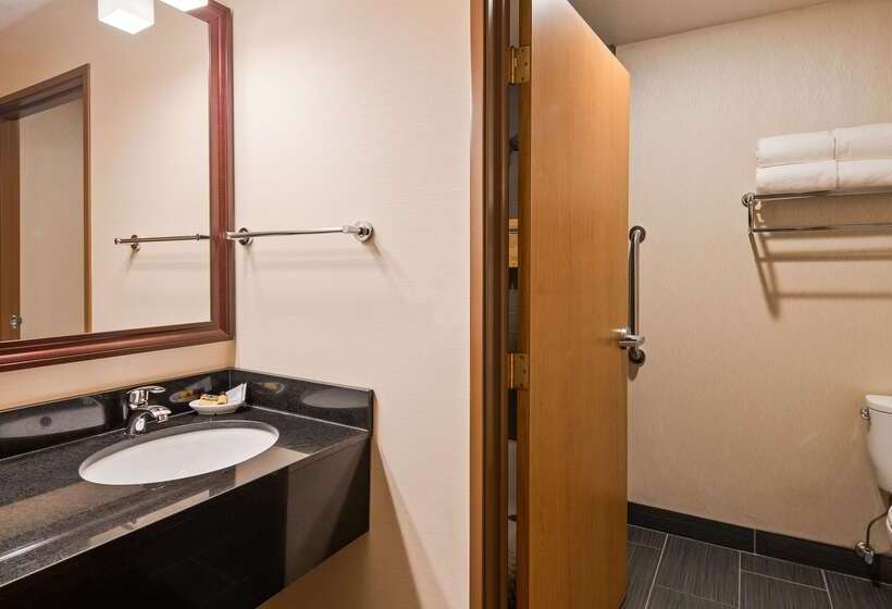 酒店 Best Western Plus City Center