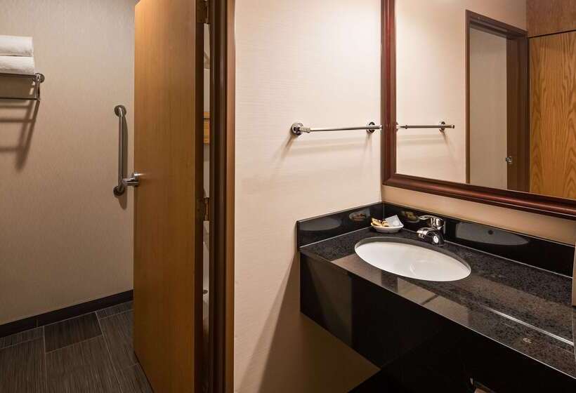 酒店 Best Western Plus City Center