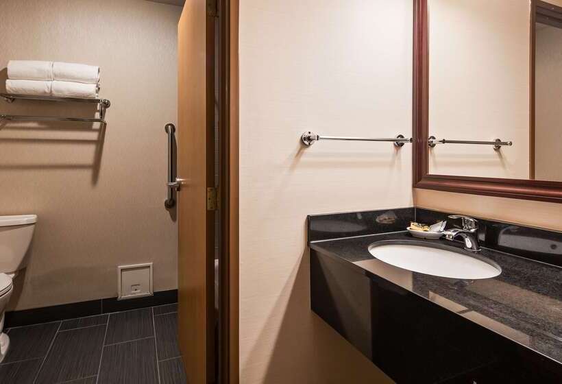 酒店 Best Western Plus City Center