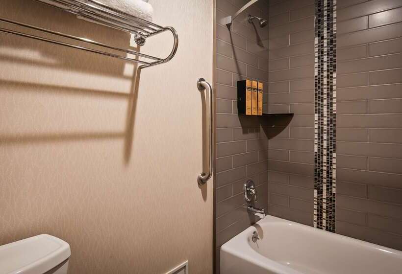 酒店 Best Western Plus City Center