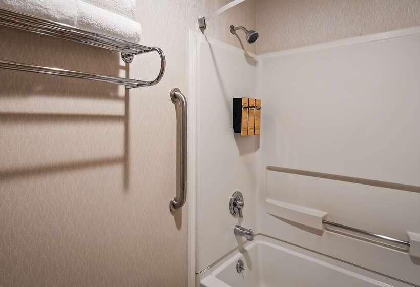 酒店 Best Western Plus City Center