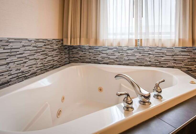 酒店 Best Western Plus City Center