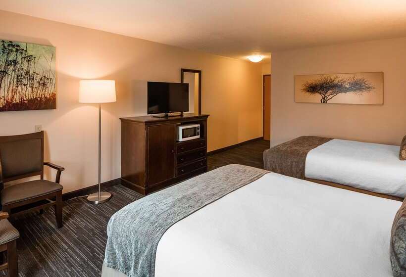 酒店 Best Western Plus City Center