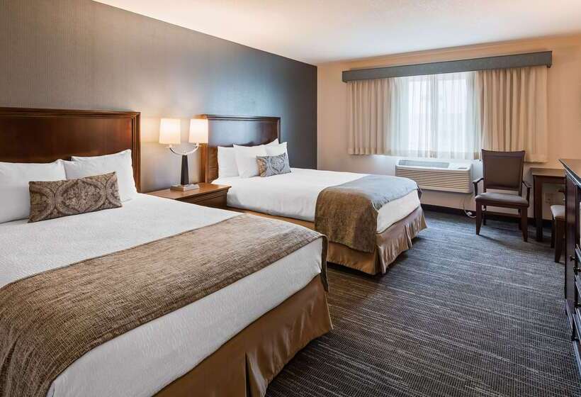 酒店 Best Western Plus City Center