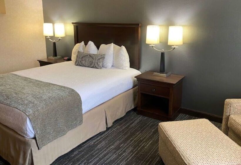 酒店 Best Western Plus City Center