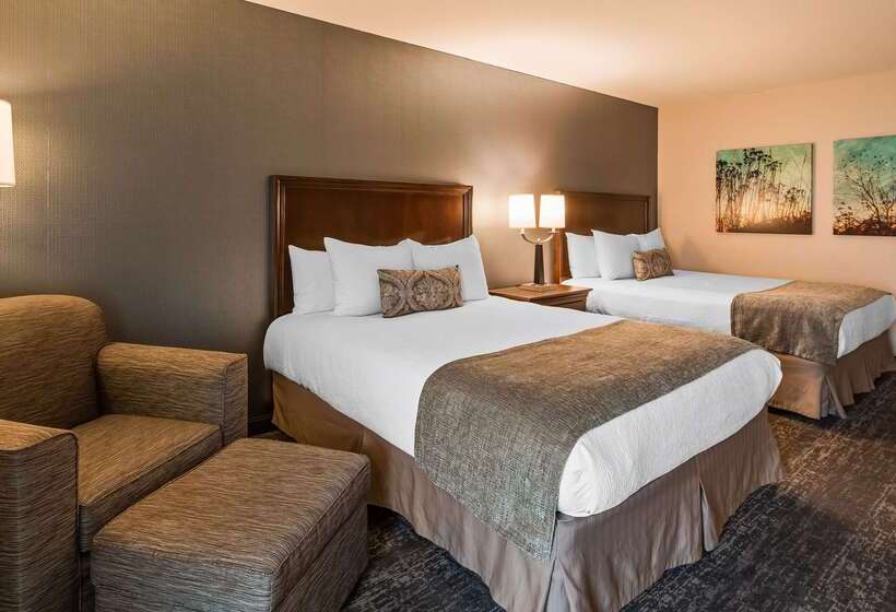 酒店 Best Western Plus City Center