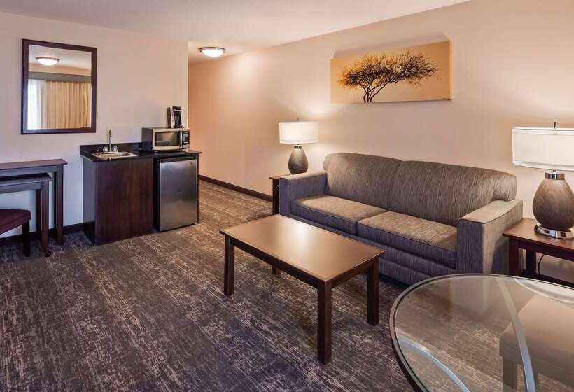 酒店 Best Western Plus City Center