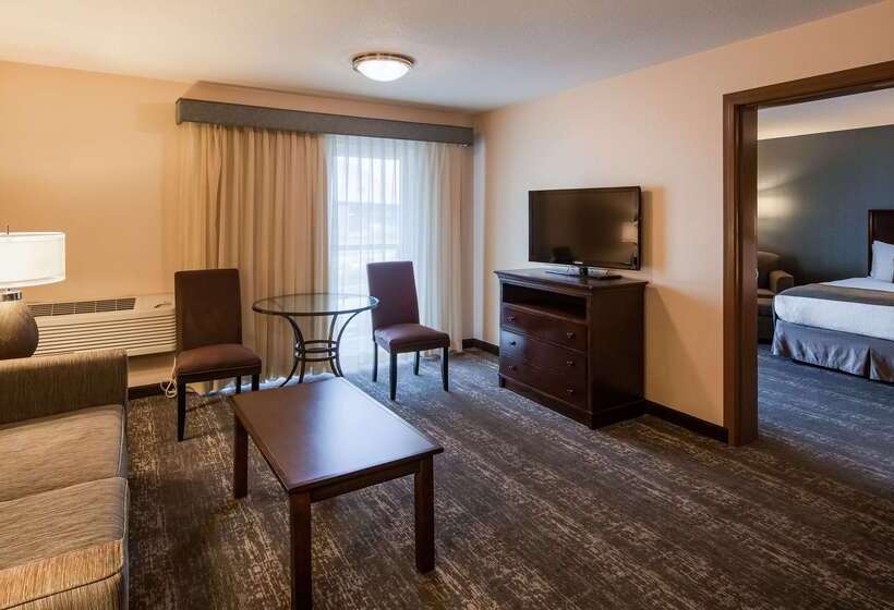 酒店 Best Western Plus City Center