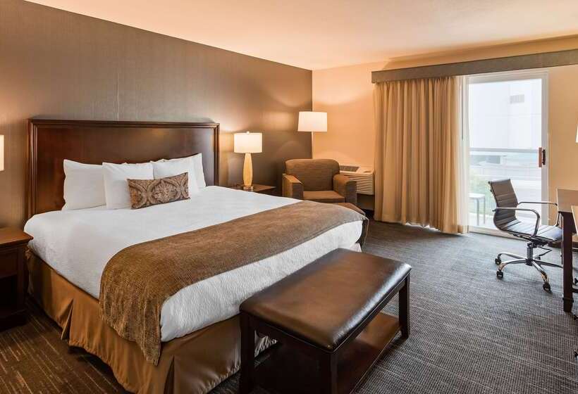 酒店 Best Western Plus City Center