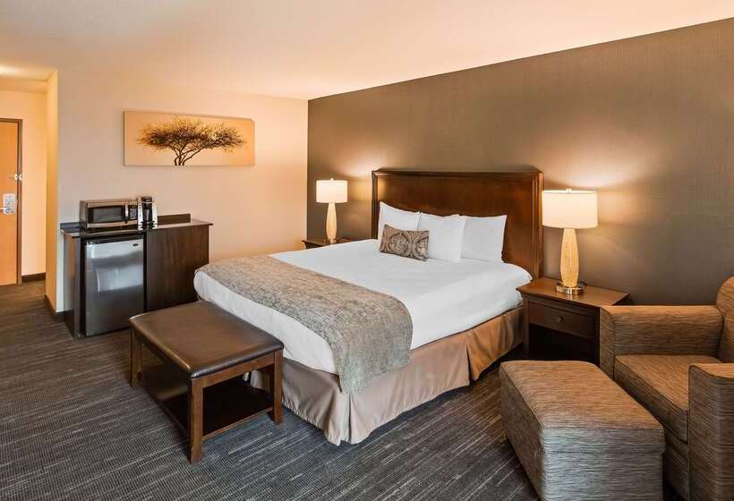 酒店 Best Western Plus City Center