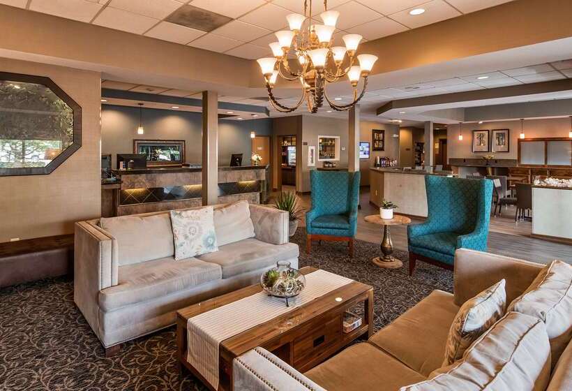 酒店 Best Western Plus City Center