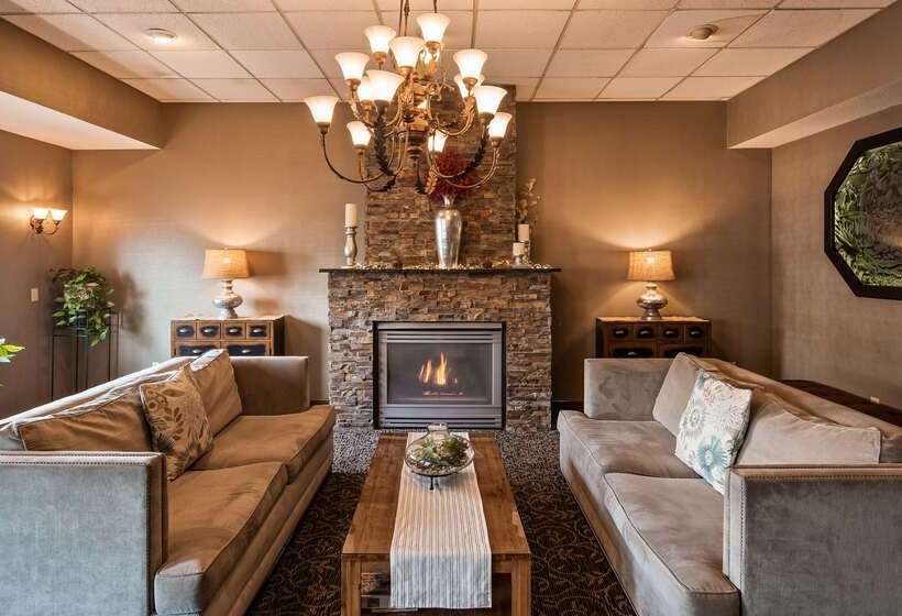 酒店 Best Western Plus City Center